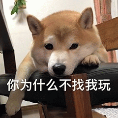 示例图片